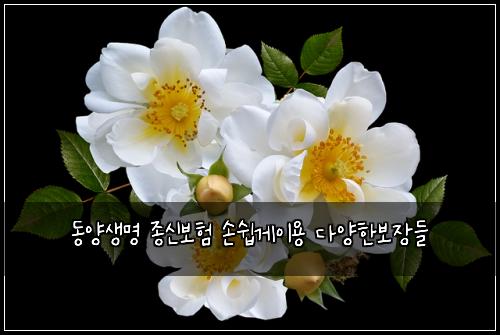 동양생명 종신보험 손쉽게이용  다양한보장들