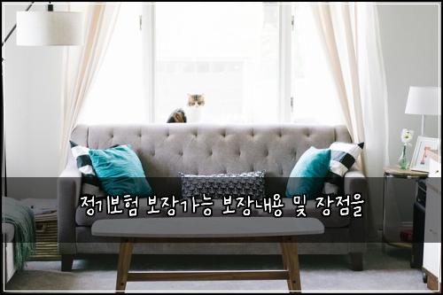 정기보험 보장가능  보장내용 및 장점을