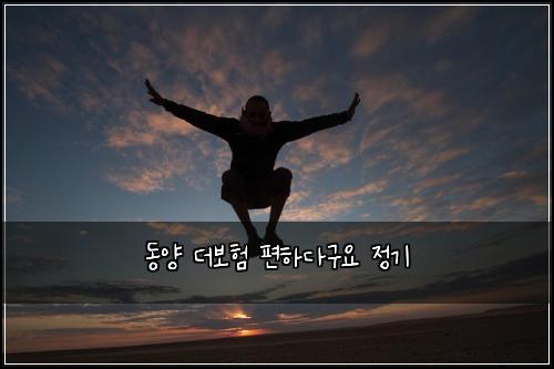 ๋์ ๋๋ณดํ ํธํ๋ค๊ตฌ์ ์ ๊ธฐ