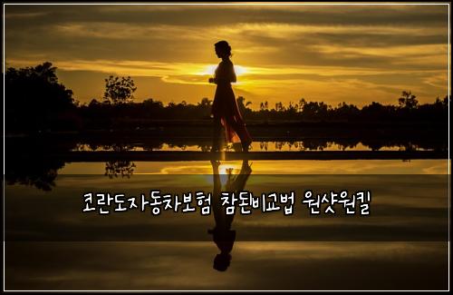 ์ฝ๋๋์๋์ฐจ๋ณดํ ์ฐธ๋๋น๊ต๋ฒ ์์ท์ํฌ