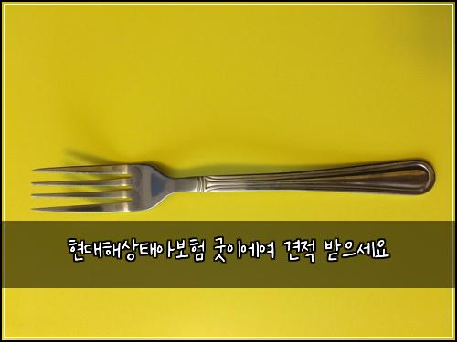 현대해상태아보험 굿이에여  견적 받으세요