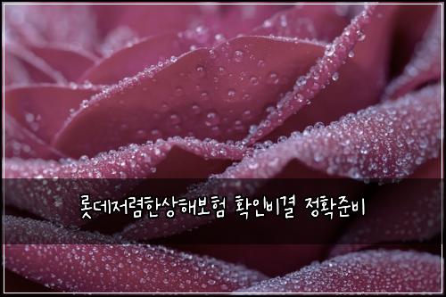 롯데저렴한상해보험 확인비결  정확준비