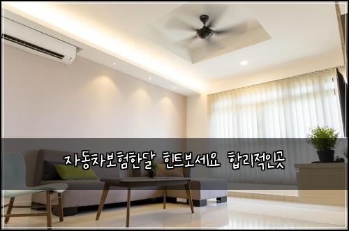 자동차보험한달 힌트보세요 합리적인곳