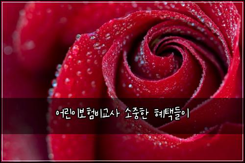 어린이보험비교사 소중한 혜택들이