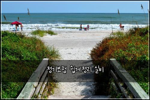 정기보험 쉽게정리  실비