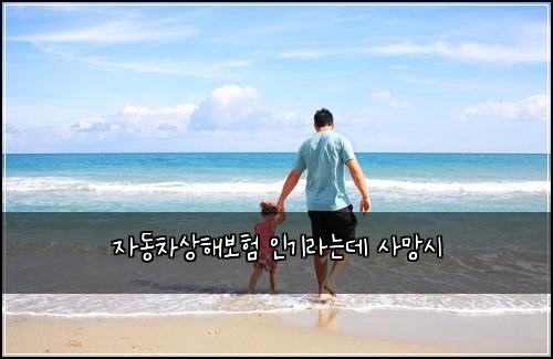 자동차상해보험 인기라는데  사망시