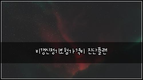 비갱신정기보험가격비 진단플랜