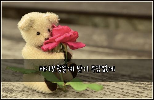 태아보험설계 받기 부담없게