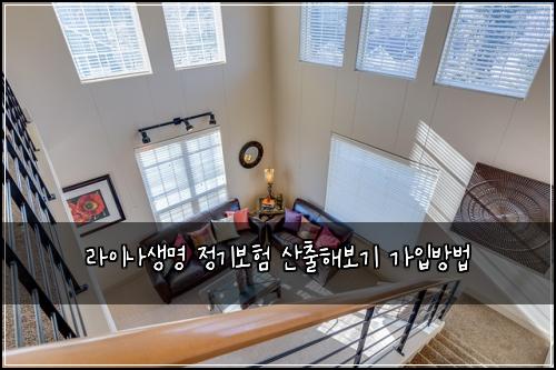 라이나생명 정기보험 산출해보기  가입방법