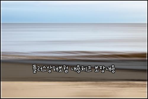 ํ๋ฌ์ค์ํด๋ณดํ ๋ด์ฉ์ฒดํฌ ๋ณด์ฅ๋ด์ฉ