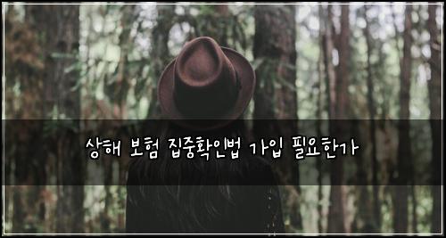 상해 보험 집중확인법  가입 필요한가