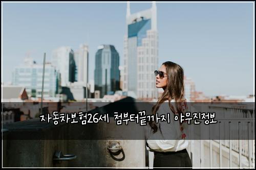자동차보험26세 첨부터끝까지 야무진정보