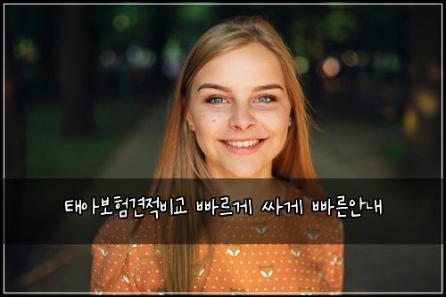 태아보험견적비교 빠르게 싸게 빠른안내
