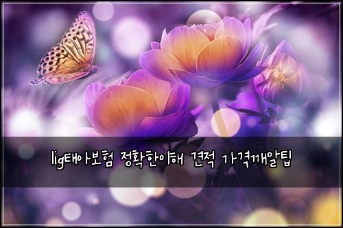 lig태아보험 정확한이해  견적 가격깨알팁