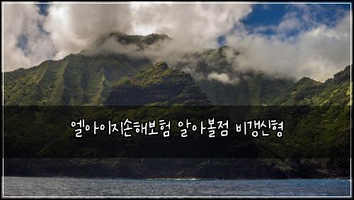 엘아이지손해보험 알아볼점  비갱신형