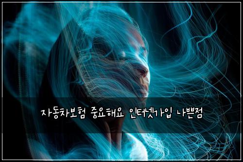 자동차보험 중요해요  인터넷가입 나쁜점