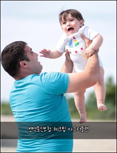 변액종신보험 체크팁  마스터플랜