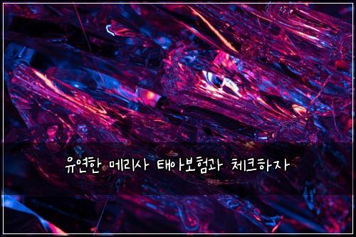 ์ ์ฐํ ๋ฉ๋ฆฌ์ฌ ํ์๋ณดํ๊ณผ ์ฒดํฌํ์