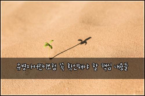 유병자어린이보험 꼭 확인해야 할 핵심 내용들