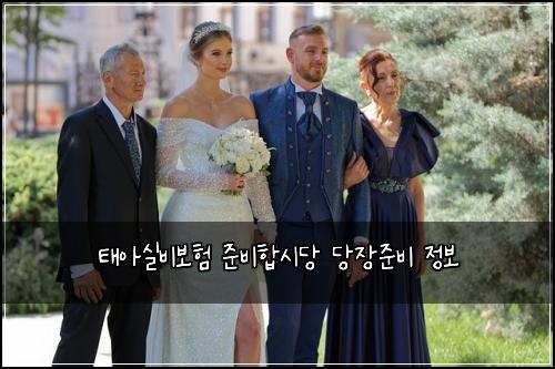 태아실비보험 준비합시당  당장준비 정보