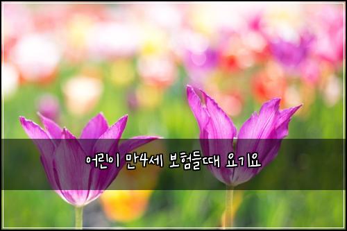 어린이 만4세 보험들때 요기요