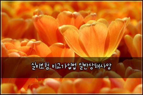 ์ค๋น๋ณดํ ๋น๊ต๊ฐ์
๋ฒ ์ผ๋ฐ์ํด์ฌ๋ง