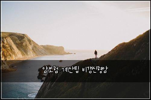 ์๋ณดํ ๊ณ์ฐํ ๋น๊ฐฑ์ ํ์