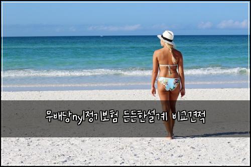 ๋ฌด๋ฐฐ๋นnyl์ ๊ธฐ๋ณดํ ๋ ๋ ํ์ค๊ณ ๋น๊ต๊ฒฌ์ 