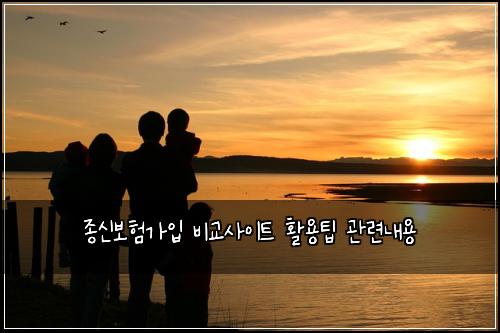 종신보험가입 비교사이트 활용팁 관련내용
