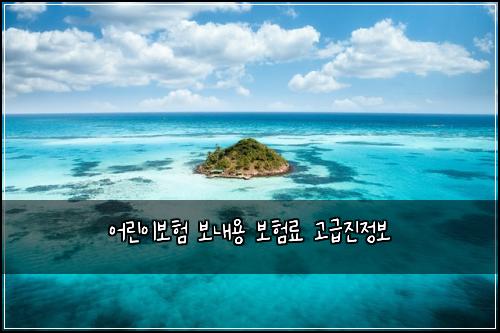 어린이보험 보내용 보험료 고급진정보