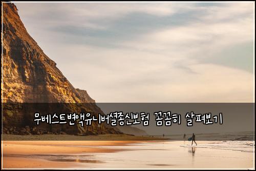무베스트변액유니버셜종신보험 꼼꼼히 살펴보기