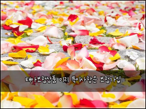 태아보험상품 미리 특이사항은 보험가입
