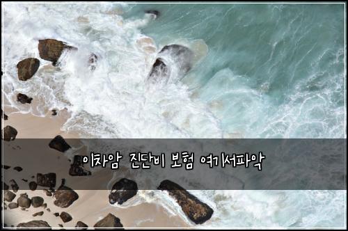 μ΄μ°¨μ μ§λ¨λΉ 보ν μ¬κΈ°μνμ