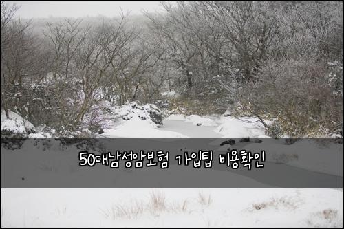50대남성암보험 가입팁  비용확인