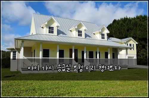 아이 가시 응급실 보험 미리 챙겨보자
