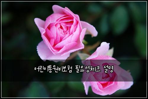 어린이통원비보험 필요성체크  설명