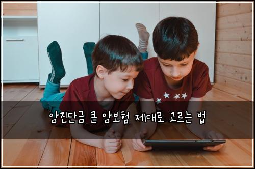 암진단금 큰 암보험 제대로 고르는 법
