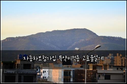 ์๋์ฐจ๋ณดํ๊ฐ์
ํน์ฝ๋ฏธ์ ์ฉ ๊ณ ํจ์จ์ค๊ณ