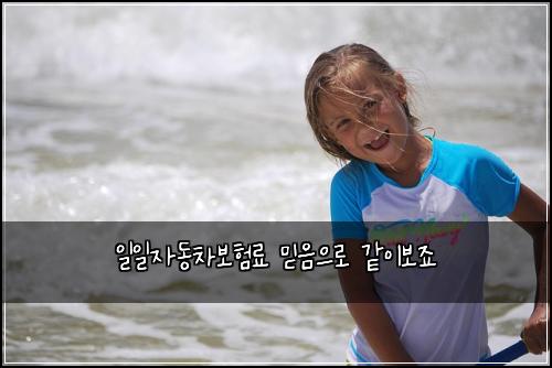 일일자동차보험료 믿음으로 같이보죠