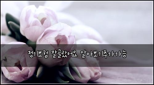 정기보험 잘골랐어요  알아보기추가가능