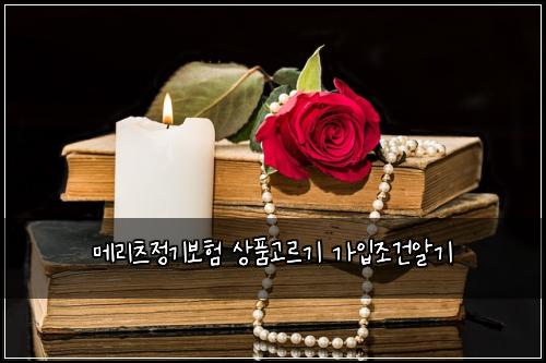 메리츠정기보험 상품고르기  가입조건알기