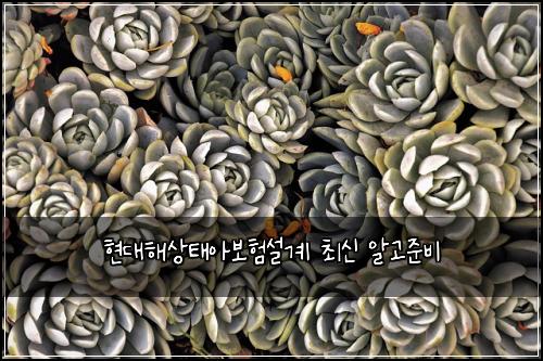 ํ๋ํด์ํ์๋ณดํ์ค๊ณ ์ต์ ์๊ณ ์ค๋น