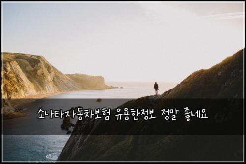 소나타자동차보험 유용한정보  정말 좋네요
