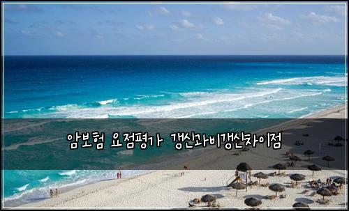 암보험 요점평가  갱신과비갱신차이점