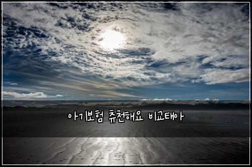 μ기보ν μΈμ²ν΄μ λΉκ΅νμ