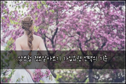 암보험 정보알아보기  가입요령 선택의 기준