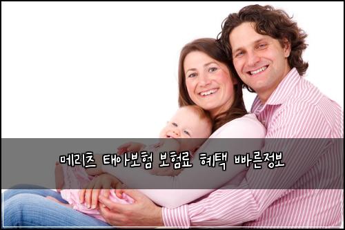 ๋ฉ๋ฆฌ์ธ ํ์๋ณดํ ๋ณดํ๋ฃ ํํ ๋น ๋ฅธ์ ๋ณด