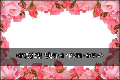 ๋ฉ๋ฆฌ์ธ ์๋ณดํ ์กํํ๊ฒ ๋ฏธ๋ฆฌ๋ฏธ๋ฆฌ ๋๋นํ์