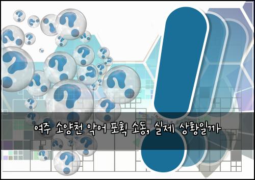 여주 소양천 악어 포획 소동, 실제 상황일까