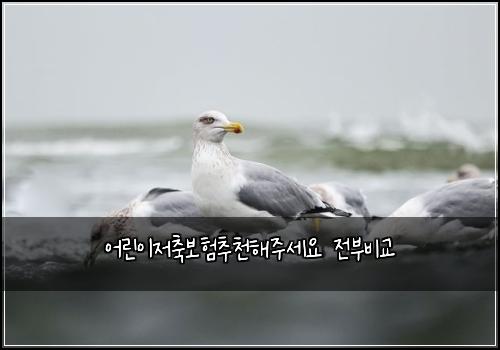 어린이저축보험추천해주세요 전부비교